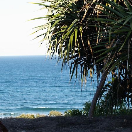 Sunseeker Holiday Apartments Sunshine Beach Exterior foto